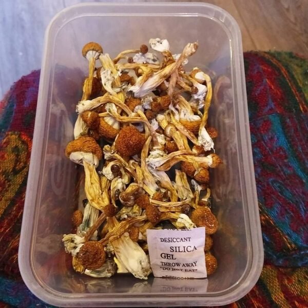 Mckennaii Mushroom