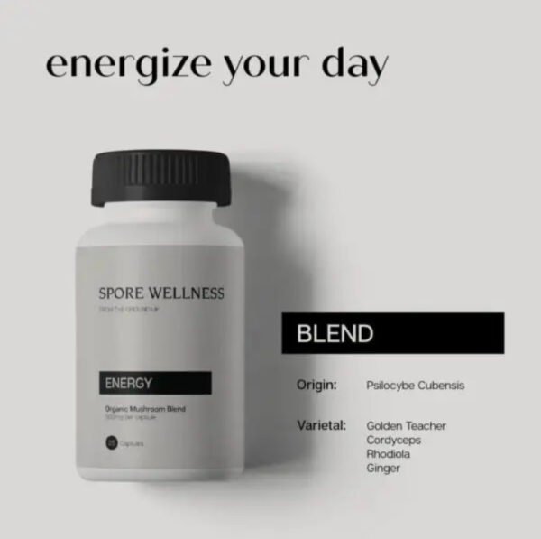 Spore Wellness (Energy) Microdosing Mushroom Capsules - Image 3