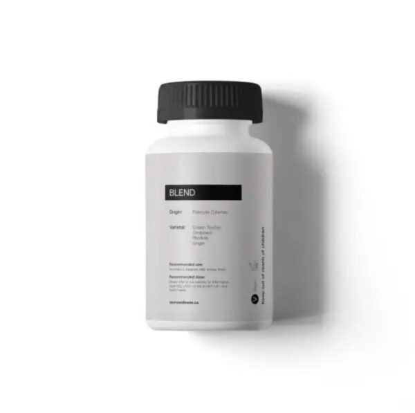 Spore Wellness (Energy) Microdosing Mushroom Capsules - Image 2