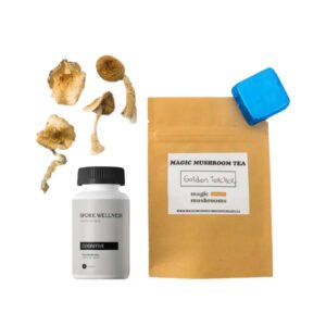 First Timer Magic Mushroom Kit
